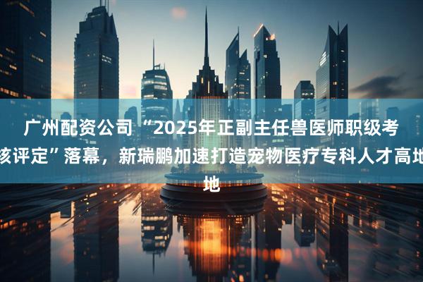 广州配资公司 “2025年正副主任兽医师职级考核评定”落幕，新瑞鹏加速打造宠物医疗专科人才高地